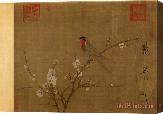 Emperor Huizong Five Colored Parakeet on a Blossoming Apricot Tree Stretched Canvas Painting / Canvas Art