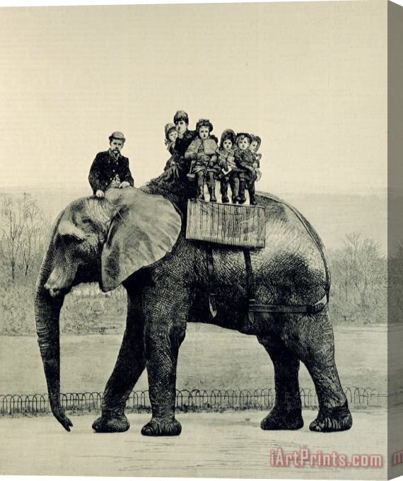 English School A Farewell Ride on Jumbo from The Illustrated London News Stretched Canvas Painting / Canvas Art