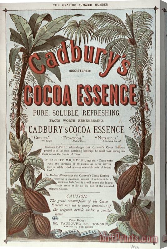 English School Advertisement For Cadburs Cocoa Essence From The Graphic Stretched Canvas Print / Canvas Art