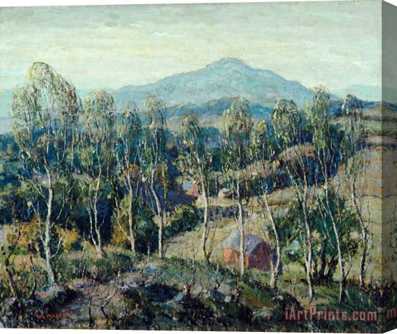 Ernest Lawson New England Birches Stretched Canvas Print / Canvas Art