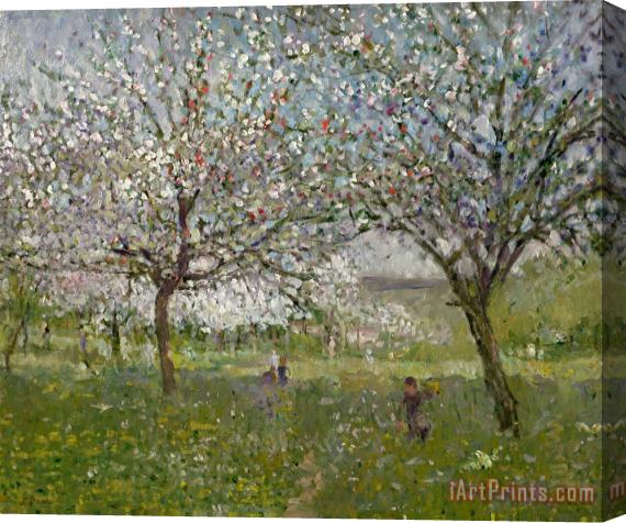 Ernest Quost Apple Trees in Flower Stretched Canvas Print / Canvas Art