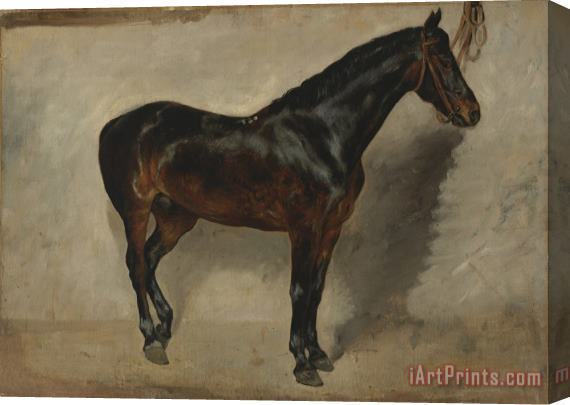 Eugene Delacroix Study of a Brown Black Horse Tethered to a Wall Stretched Canvas Painting / Canvas Art