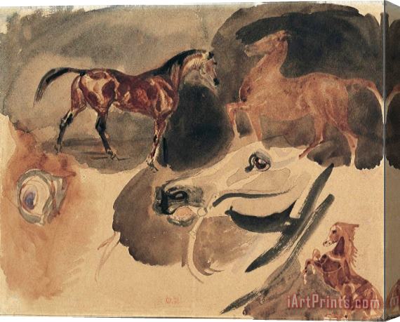 Eugene Delacroix Study of Horses Stretched Canvas Painting / Canvas Art