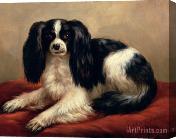 Eugene Joseph Verboeckhoven A King Charles Spaniel Seated on a Red Cushion Stretched Canvas Painting / Canvas Art