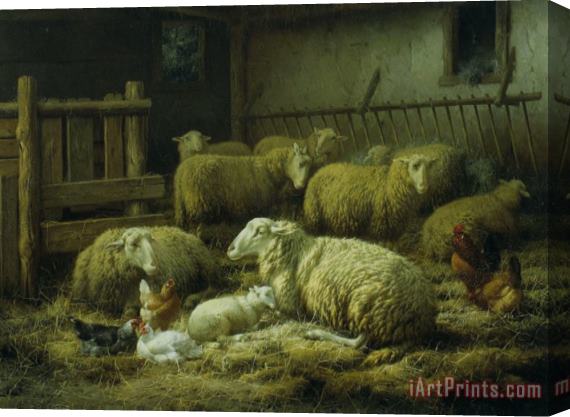Eugene Remy Maes Sheep And Chickens Stretched Canvas Painting / Canvas Art