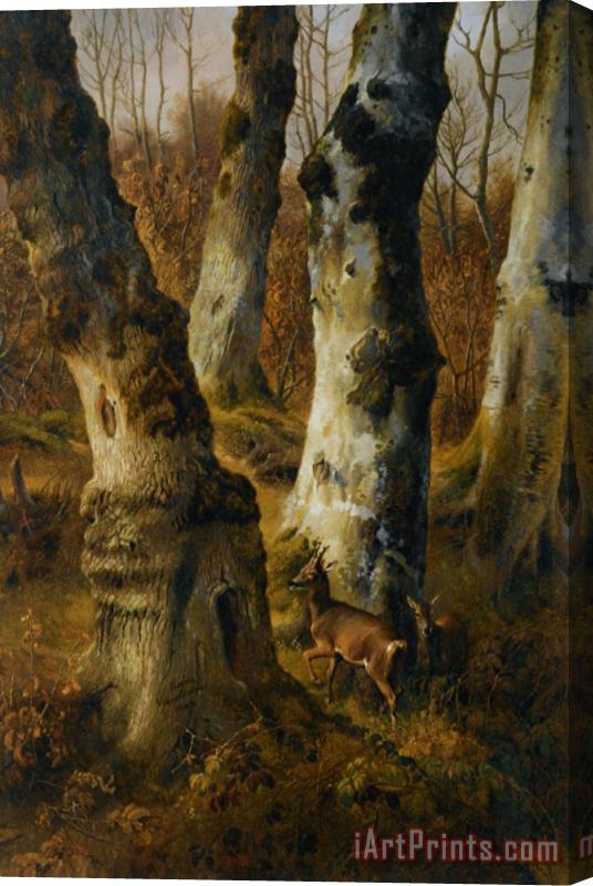 Eugene Verboeckhoven Deer in a Wood Stretched Canvas Painting / Canvas Art