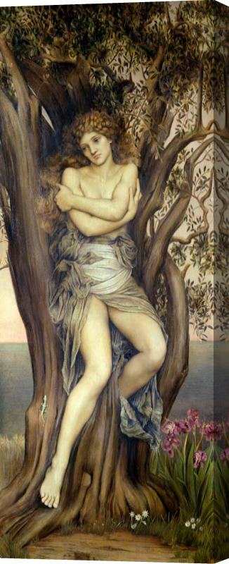 Evelyn De Morgan The Dryad Stretched Canvas Painting / Canvas Art