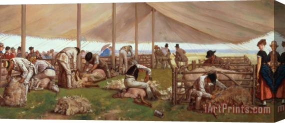 Eyre Crowe  The Sheep Shearing Match Stretched Canvas Print / Canvas Art