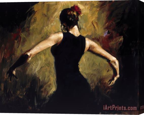 Fabian Perez Flamenco III Stretched Canvas Print / Canvas Art