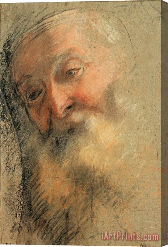 Federico Barocci Head of an Old Bearded Man, 1584 1586 Stretched Canvas Print / Canvas Art