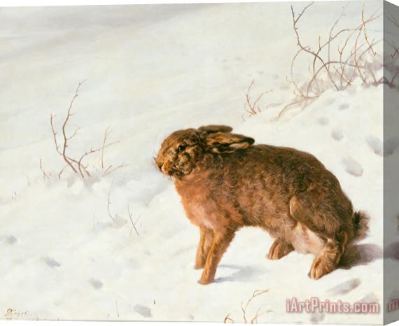 Ferdinand von Rayski Hare in The Snow Stretched Canvas Print / Canvas Art
