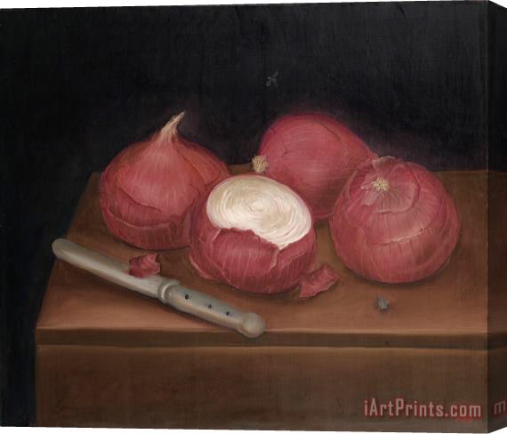 Fernando Botero Cebollas Espanolas (spanish Onions), 1969 Stretched Canvas Print / Canvas Art