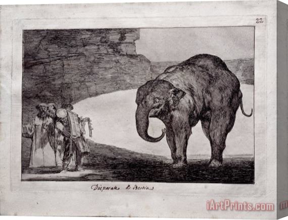Francisco De Goya Animal Folly Stretched Canvas Print / Canvas Art