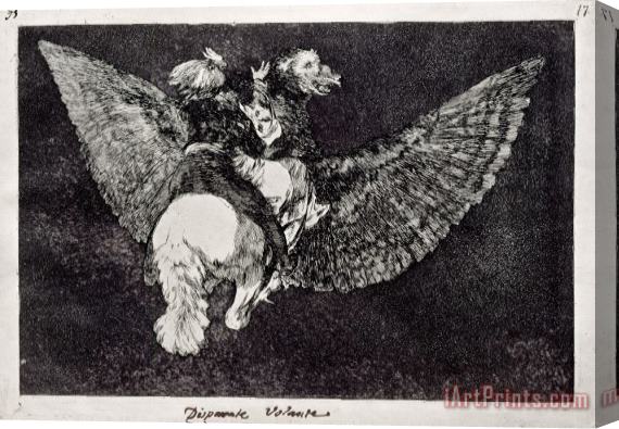 Francisco De Goya Flying Folly Stretched Canvas Print / Canvas Art