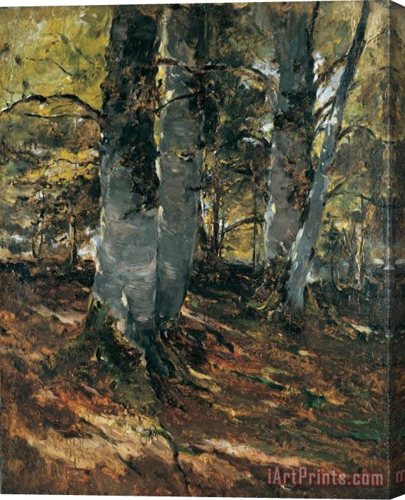 Frank Duveneck Beechwoods at Polling Bavaria Stretched Canvas Painting / Canvas Art