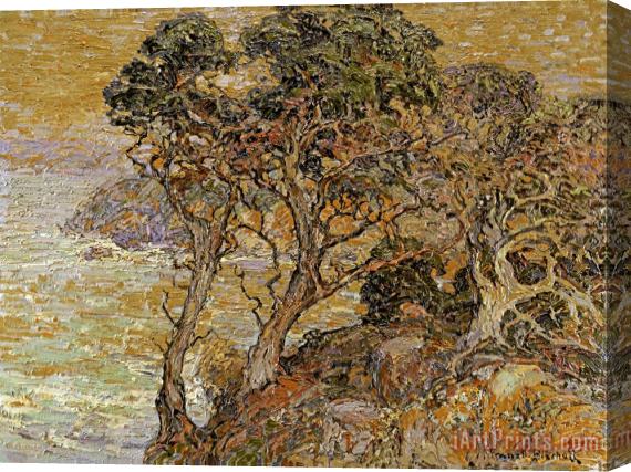 Franz A. Bischoff Point Lobos, Monterey Coast Stretched Canvas Print / Canvas Art