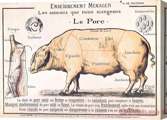 French School Cuts of Pork Stretched Canvas Print / Canvas Art