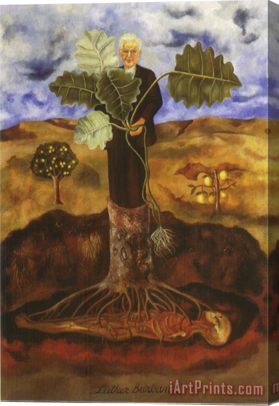 Frida Kahlo Portrait of Luther Burbank 1931 Stretched Canvas Painting / Canvas Art
