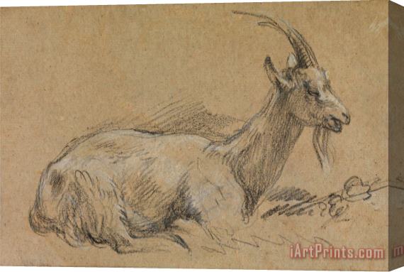 Gainsborough, Thomas Study of a Goat Stretched Canvas Print / Canvas Art