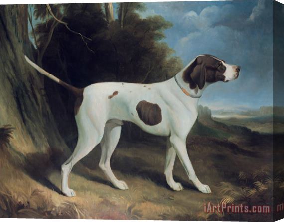 George Garrard Portrait of a liver and white pointer Stretched Canvas Painting / Canvas Art