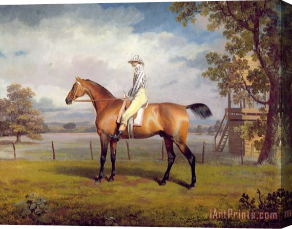 George Garrard The Duke of Hamilton's Disguise with Jockey Up Stretched Canvas Print / Canvas Art