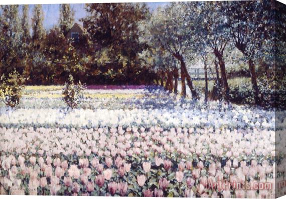 George Hitchcock Early Spring in Holland Stretched Canvas Print / Canvas Art