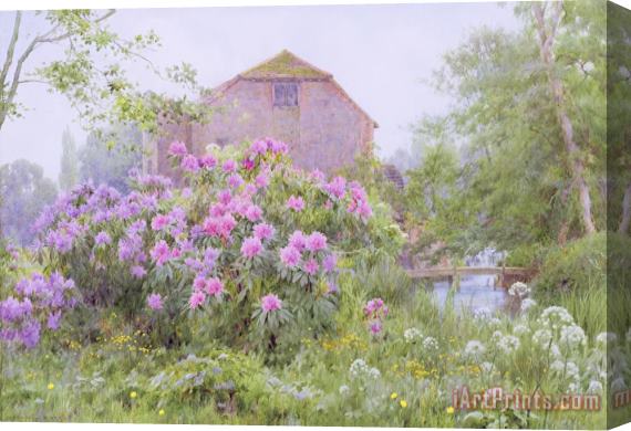 George Marks Rhododendrons by a watermill Stretched Canvas Print / Canvas Art
