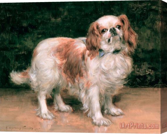 George Sheridan Knowles King Charles Spaniel Stretched Canvas Print / Canvas Art