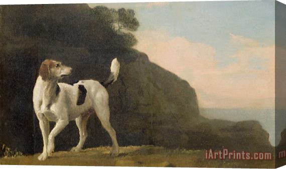 George Stubbs A Foxhound Stretched Canvas Painting / Canvas Art