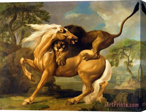 George Stubbs A Lion Attacking a Horse Stretched Canvas Print / Canvas Art