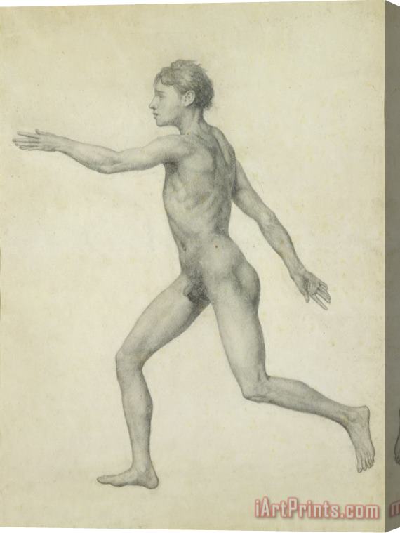 George Stubbs The Entire Human Figure From The Left Lateral View Stretched Canvas Painting / Canvas Art