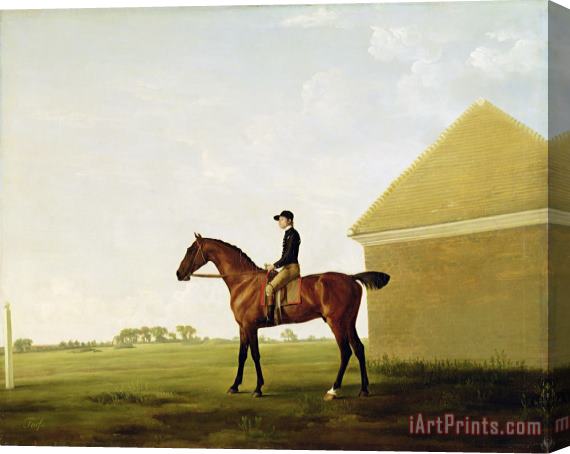 George Stubbs Turf Stretched Canvas Print / Canvas Art