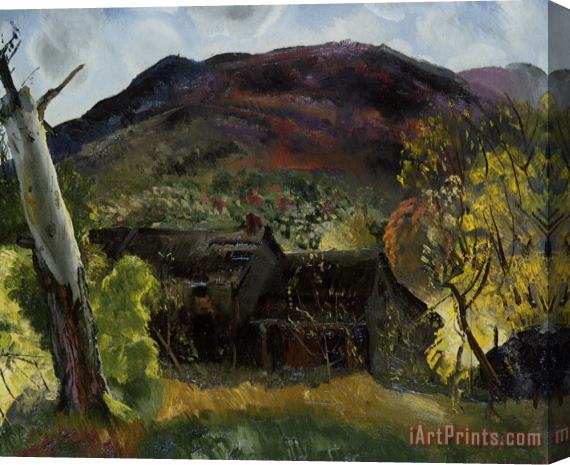 George Wesley Bellows Blasted Tree And Deserted House Stretched Canvas Print / Canvas Art