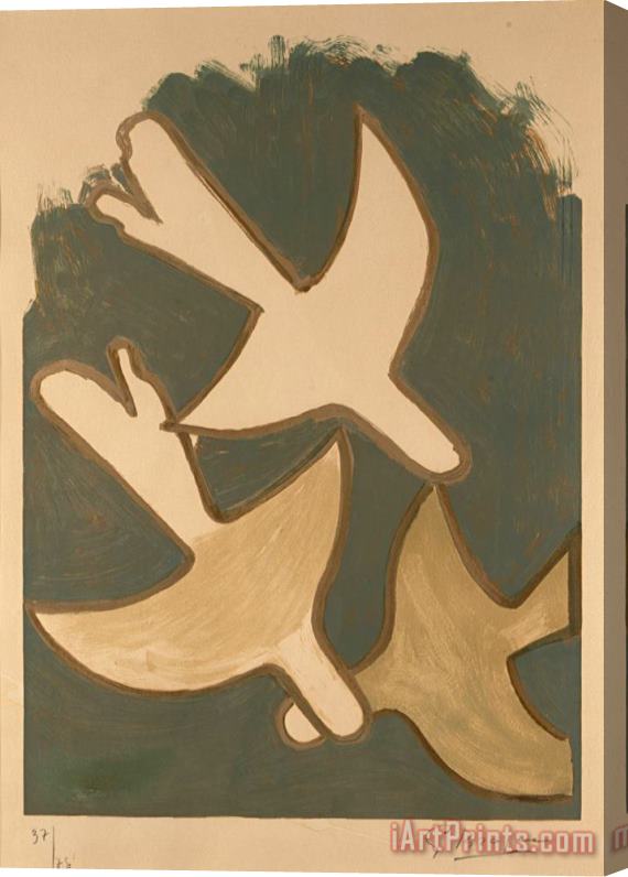 Georges Braque Les Oiseaux Blancs, 1958 Stretched Canvas Print / Canvas Art