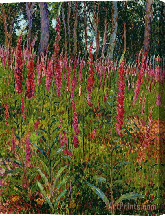 Georges Lacombe Foxgloves Stretched Canvas Print / Canvas Art