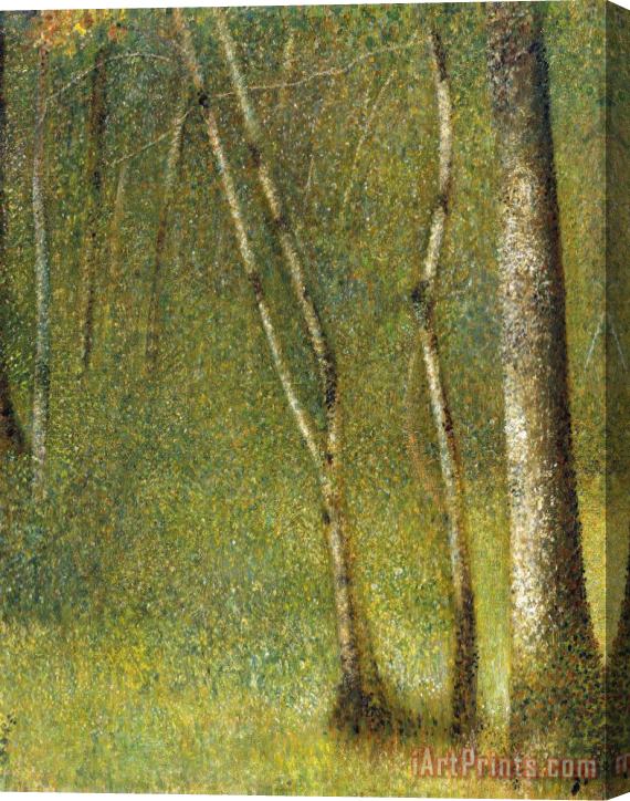 Georges Seurat The Forest at Pontaubert Stretched Canvas Print / Canvas Art