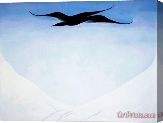 Georgia O'keeffe A Black Bird with Snow Covered Red Hills Stretched Canvas Painting / Canvas Art