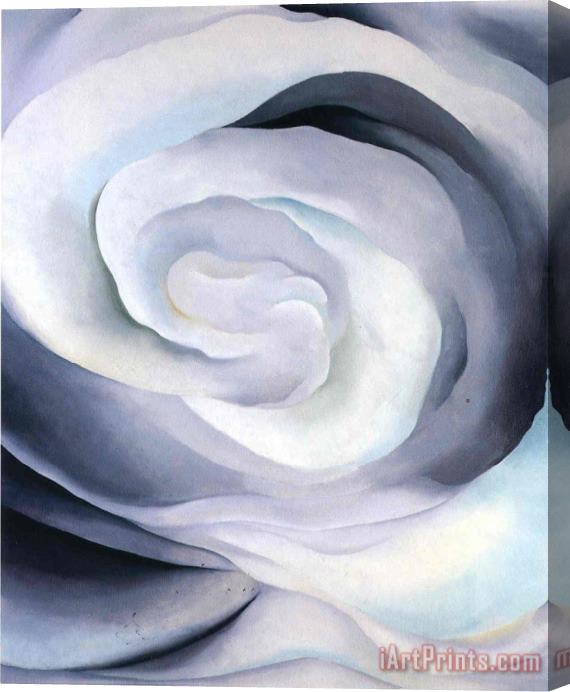 Georgia O'keeffe Abstraction White Rose Stretched Canvas Painting / Canvas Art