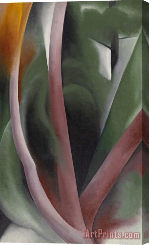 Georgia O'keeffe Birch And Pine Trees Pink, 1925 Stretched Canvas Painting / Canvas Art
