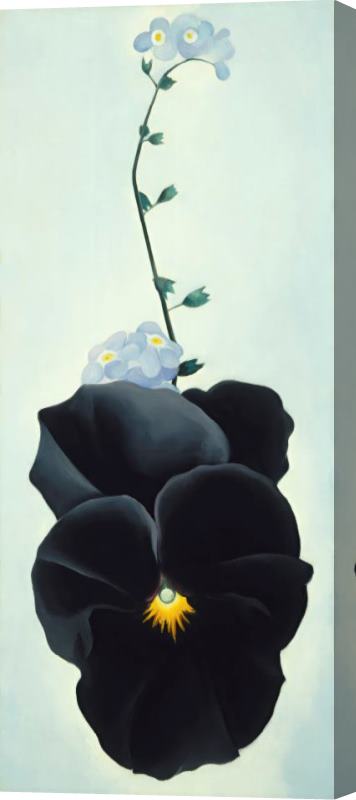 Georgia O'keeffe Black Pansy & Forget Me Nots (pansy), 1926 Stretched Canvas Print / Canvas Art