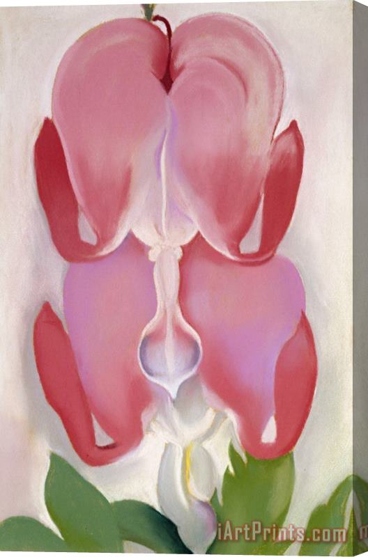 Georgia O'keeffe Bleeding Heart, 1932 Stretched Canvas Painting / Canvas Art