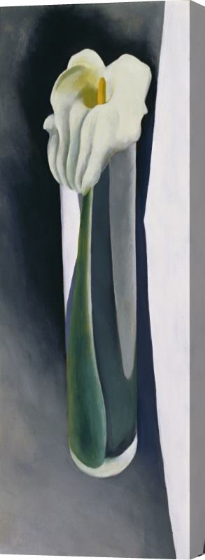 Georgia O'keeffe Calla Lily in Tall Glass No. 2, 1923 Stretched Canvas Print / Canvas Art
