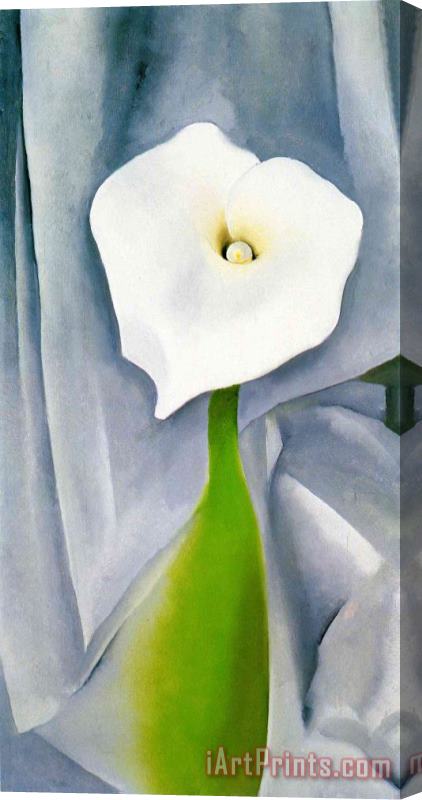 Georgia O'keeffe Calla Lily on Grey Stretched Canvas Painting / Canvas Art
