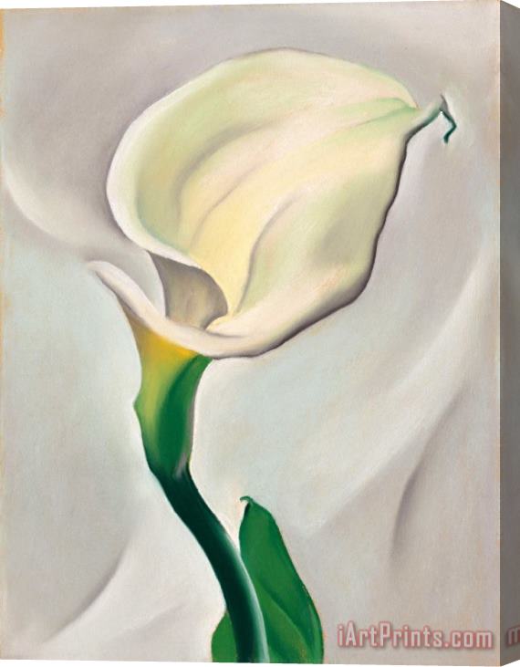 Georgia O'keeffe Calla Lily Turned Away, 1923 Stretched Canvas Print / Canvas Art