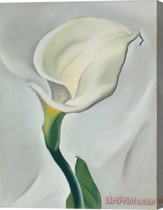 Georgia O'Keeffe Calla Lily Turned Away Stretched Canvas Print / Canvas Art