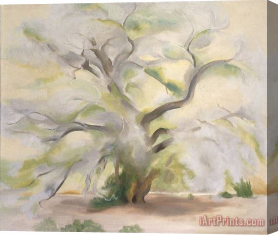 Georgia O'keeffe Cottonwoods Near Abiquiu, 1950 Stretched Canvas Print / Canvas Art