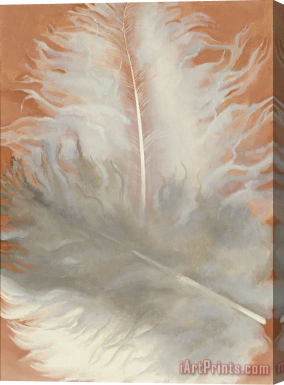 Georgia O'keeffe Feathers, White And Grey, 1942 Stretched Canvas Print / Canvas Art