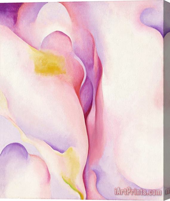 Georgia O'keeffe From Pink Shell, 1931 Stretched Canvas Print / Canvas Art