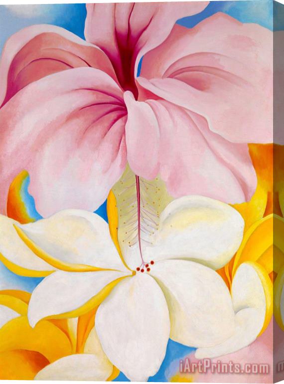 Georgia O'keeffe Hibiscus with Plumeria Stretched Canvas Painting / Canvas Art