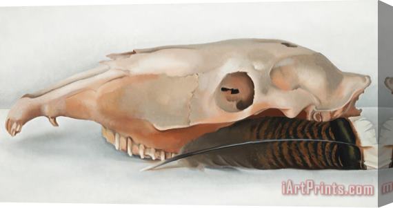 Georgia O'Keeffe Horizontal Horse's Or Mule's Skull with Feather Stretched Canvas Painting / Canvas Art
